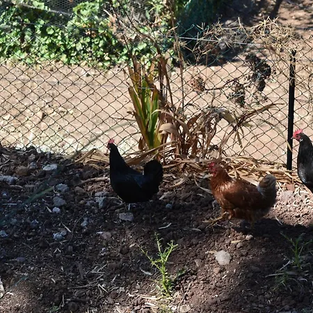 Séjour à la campagne Tintilla